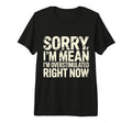 Sorry If Im Mean Im Overstimulated Right T-Shirt - Graphic Print Men Women - T-Shirt, Sweatshirt, Hoodie