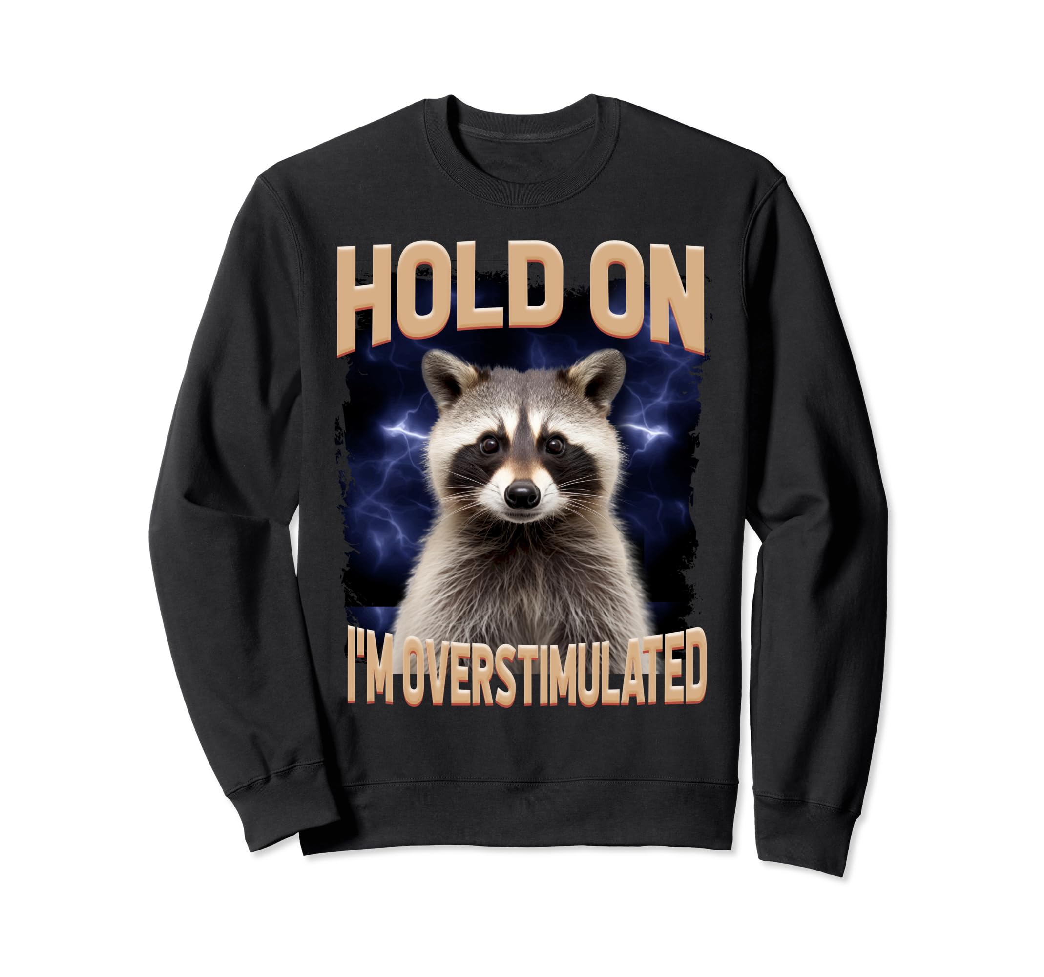 Funny Hold Im Overstimulated Funny Sweatshirt - Graphic Print Men Women - T-Shirt, Sweatshirt, Hoodie