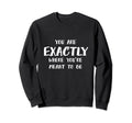 Exactly Where Youre Meant To Be Sweatshirt - Custom Art Print for Adults - T-Shirt, Sweatshirt, Hoodie