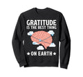 Mental Health Meme Sweatshirt - Fun Novelty Design for Adults - T-Shirt, Sweatshirt, Hoodie