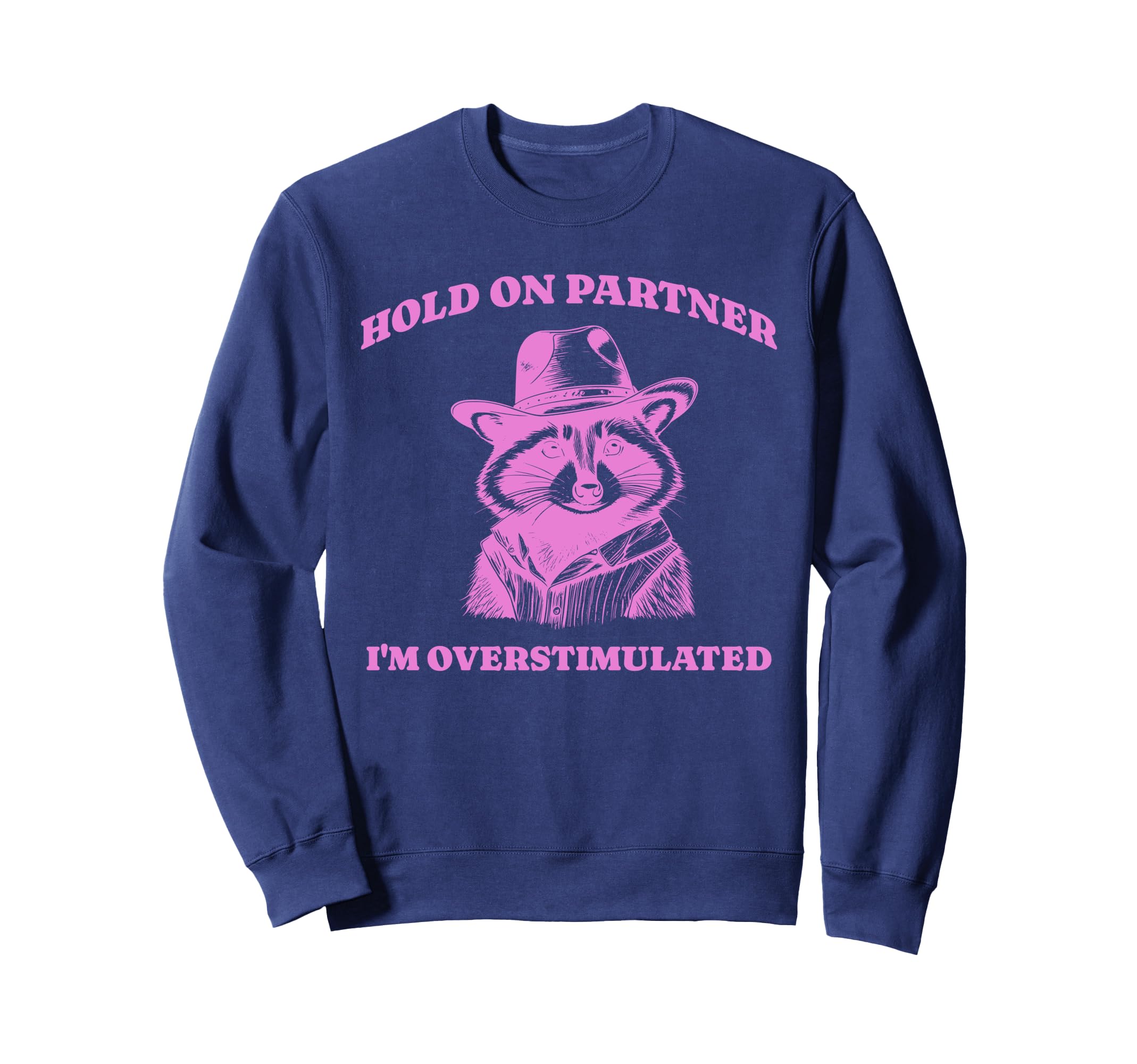 Funny Raccoon Meme Hold Sweatshirt - Casual Everyday Wear for Adults - T-Shirt, Sweatshirt, Hoodie