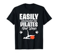 Pilates Exercise Workout Fitness Health T-Shirt - Custom Art Print Unisex - T-Shirt, Sweatshirt, Hoodie