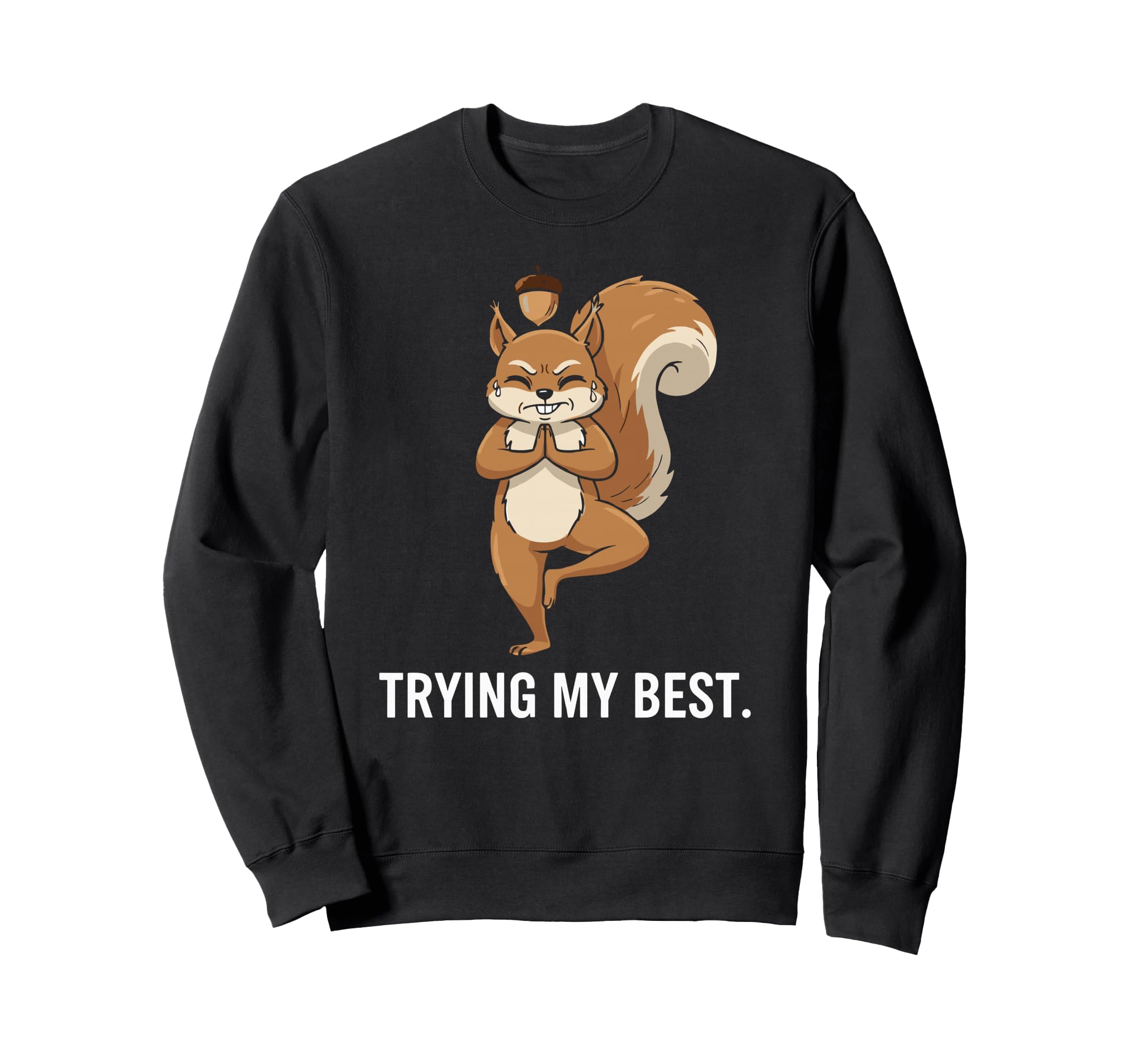 Funny Squirrel Yoga Focus Mode Sweatshirt - Fun Novelty Design for Adults - T-Shirt, Sweatshirt, Hoodie