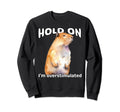 Funny Hold Im Overstimulated Sweatshirt - Trendy Graphic Men Women - T-Shirt, Sweatshirt, Hoodie