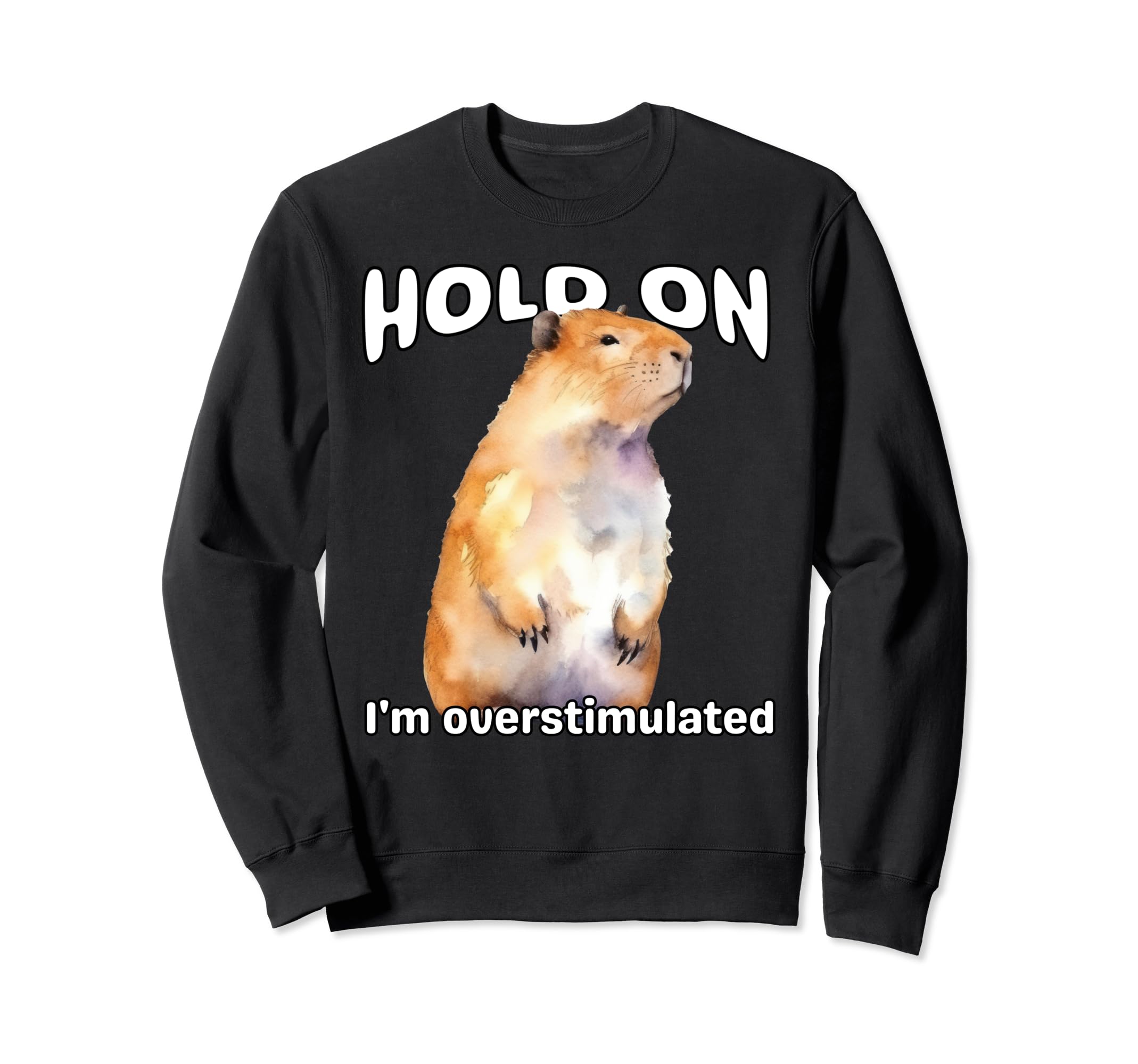 Funny Hold Im Overstimulated Sweatshirt - Trendy Graphic Men Women - T-Shirt, Sweatshirt, Hoodie