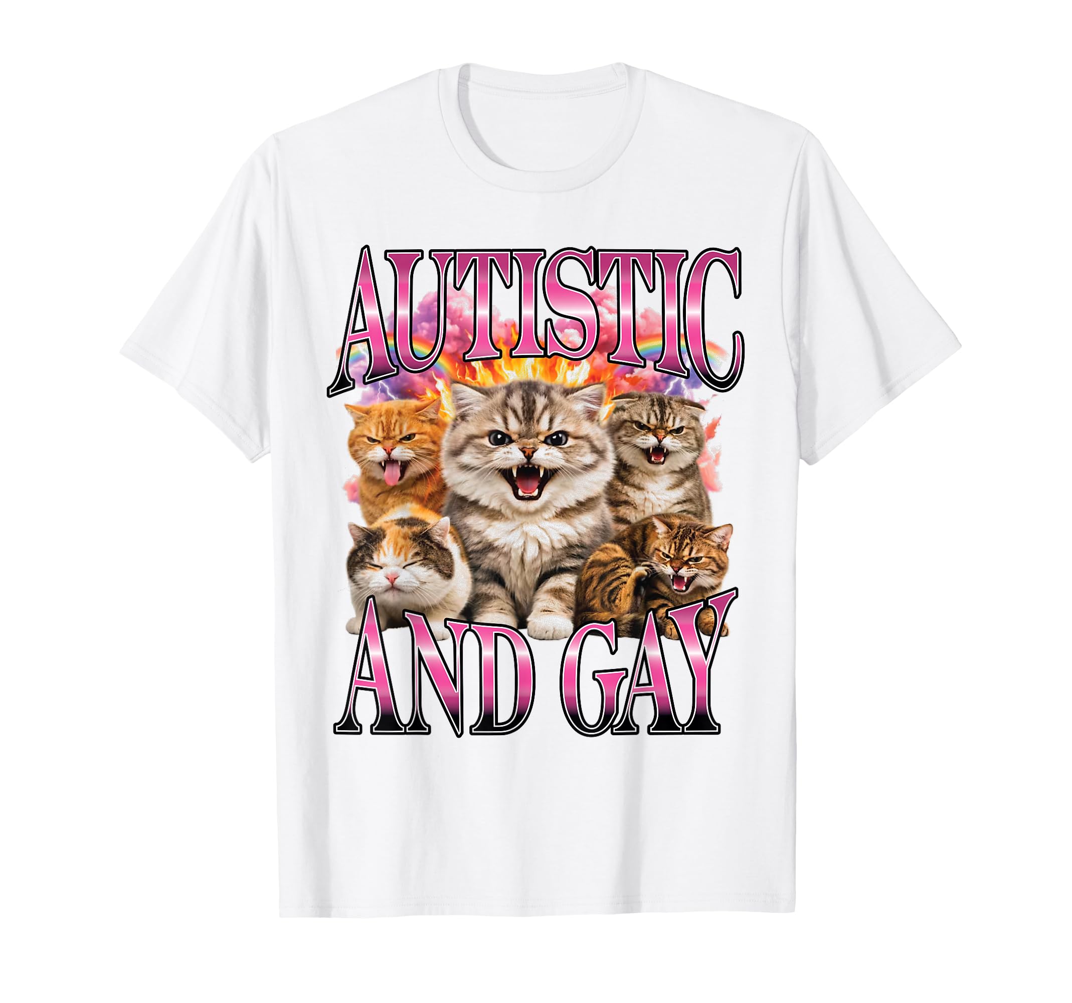 Autistic And Gay Hissing Cats Rainbow T-Shirt - Trendy Graphic for Adults - T-Shirt, Sweatshirt, Hoodie