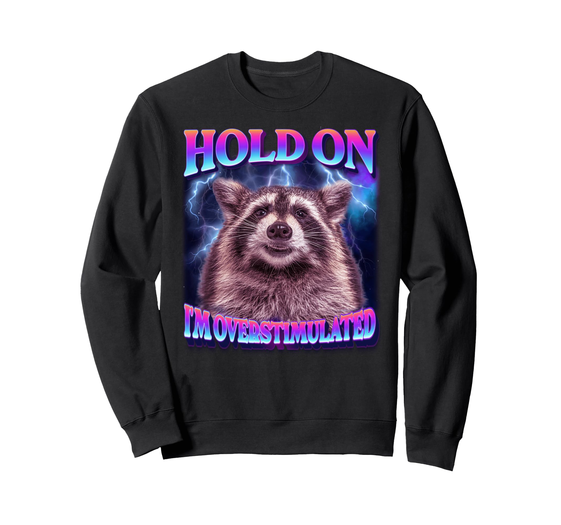 Hold Im Overstimulated Raccoon Funny Sweatshirt - Graphic Print for Adults - T-Shirt, Sweatshirt, Hoodie