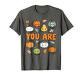 Teacher Fall Autumn Halloween T-Shirt - Casual Everyday Wear Men Women - T-Shirt, Sweatshirt, Hoodie