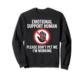 Please Dont Pet Me Im Working Sweatshirt - Aesthetic Graphic Unisex - T-Shirt, Sweatshirt, Hoodie