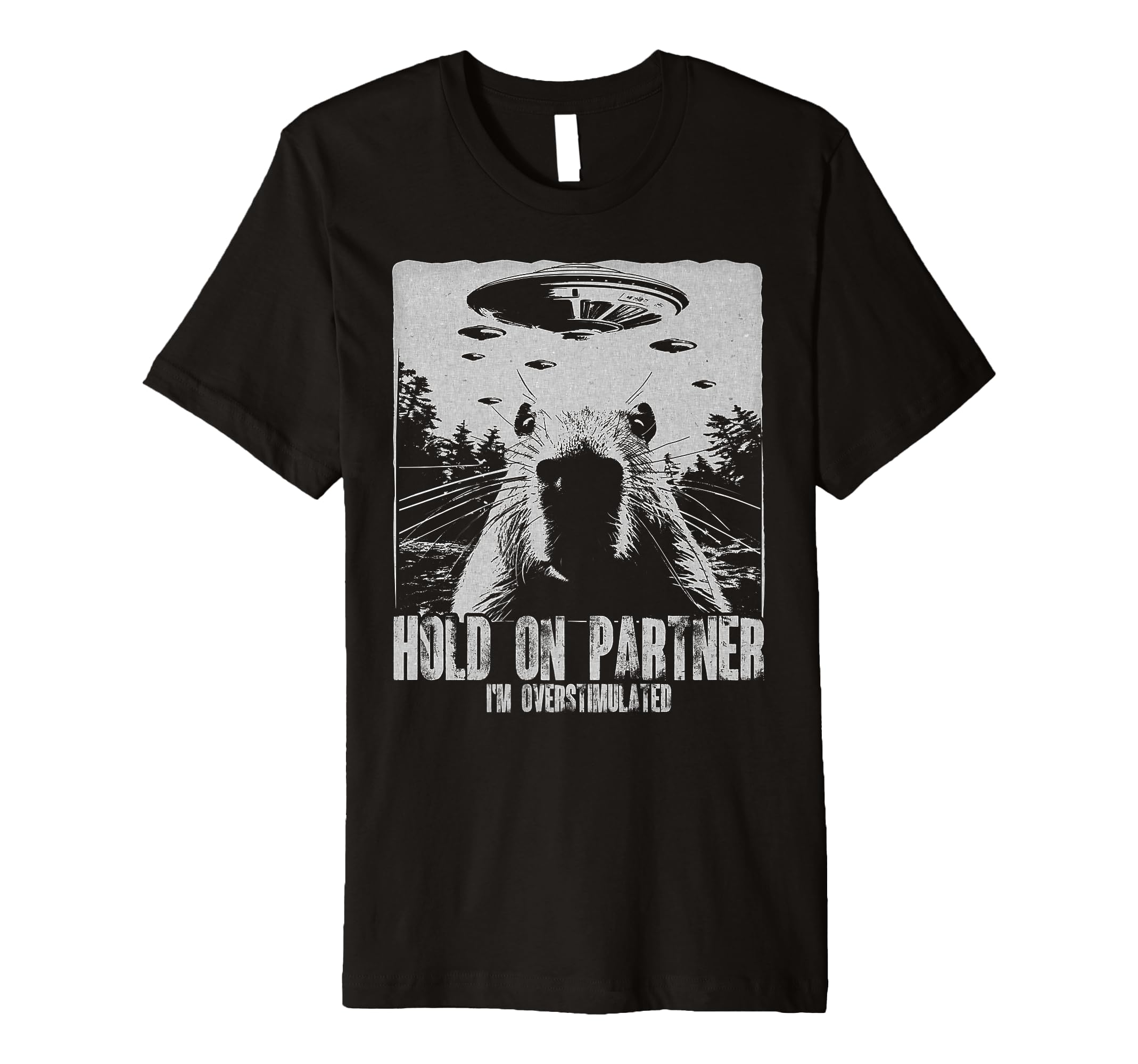 Hold Partner Im Overstimulated Capybara T-Shirt - Streetwear Style Unisex - T-Shirt, Sweatshirt, Hoodie