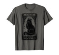 Professional Overthinker Cat Tarot Card T-Shirt - Streetwear Style Unisex - T-Shirt, Sweatshirt, Hoodie