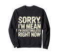 Sorry If Im Mean Im Sweatshirt - Aesthetic Graphic for Adults - T-Shirt, Sweatshirt, Hoodie
