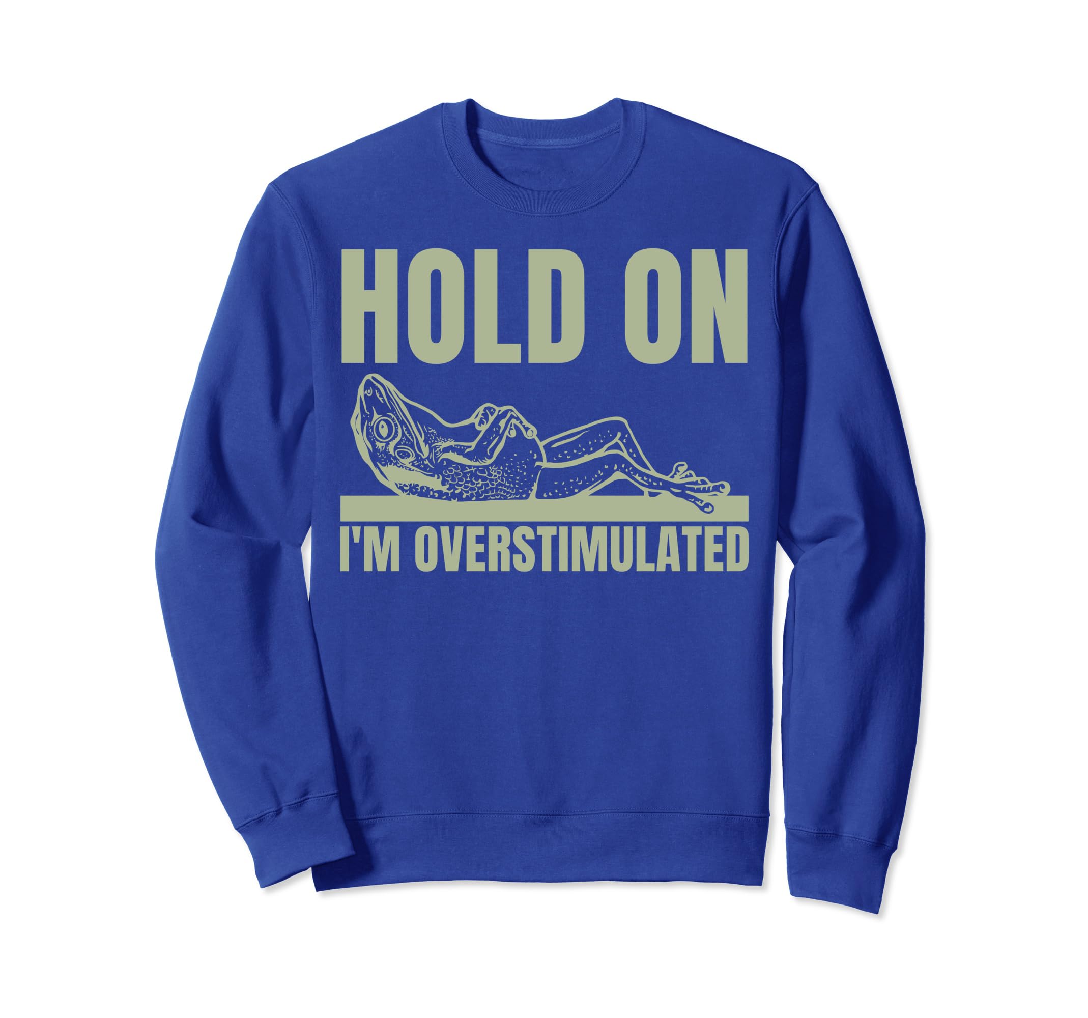 Hold Im Overstimulated Frog Adhd Sweatshirt - Custom Art Print for Adults - T-Shirt, Sweatshirt, Hoodie