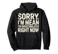 Sorry If Im Mean Im Overstimulated Right Hoodie - Minimalist Print Unisex - T-Shirt, Sweatshirt, Hoodie