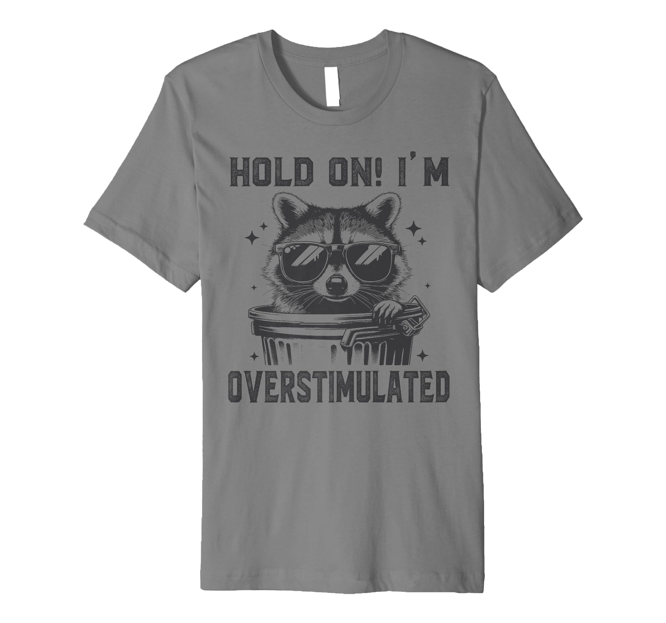 Hold Im Overstimulated Raccoon T-Shirt - Fun Novelty Design for Adults - T-Shirt, Sweatshirt, Hoodie