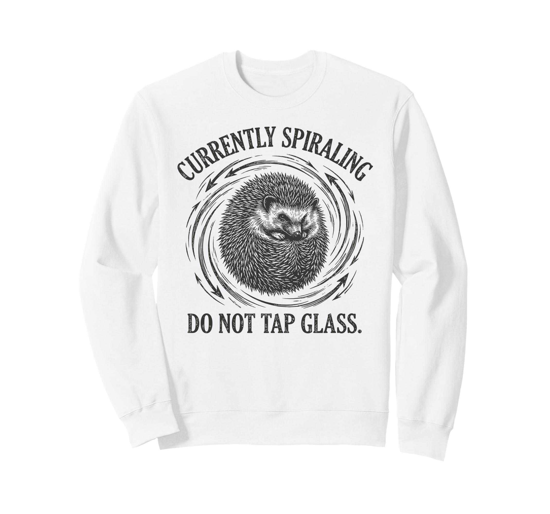 Funny Hedgehog Currently Spiraling Sweatshirt - Graphic Print for Adults - T-Shirt, Sweatshirt, Hoodie