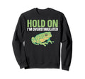 Hold Im Overstimulated Sweatshirt - Aesthetic Graphic for Adults - T-Shirt, Sweatshirt, Hoodie