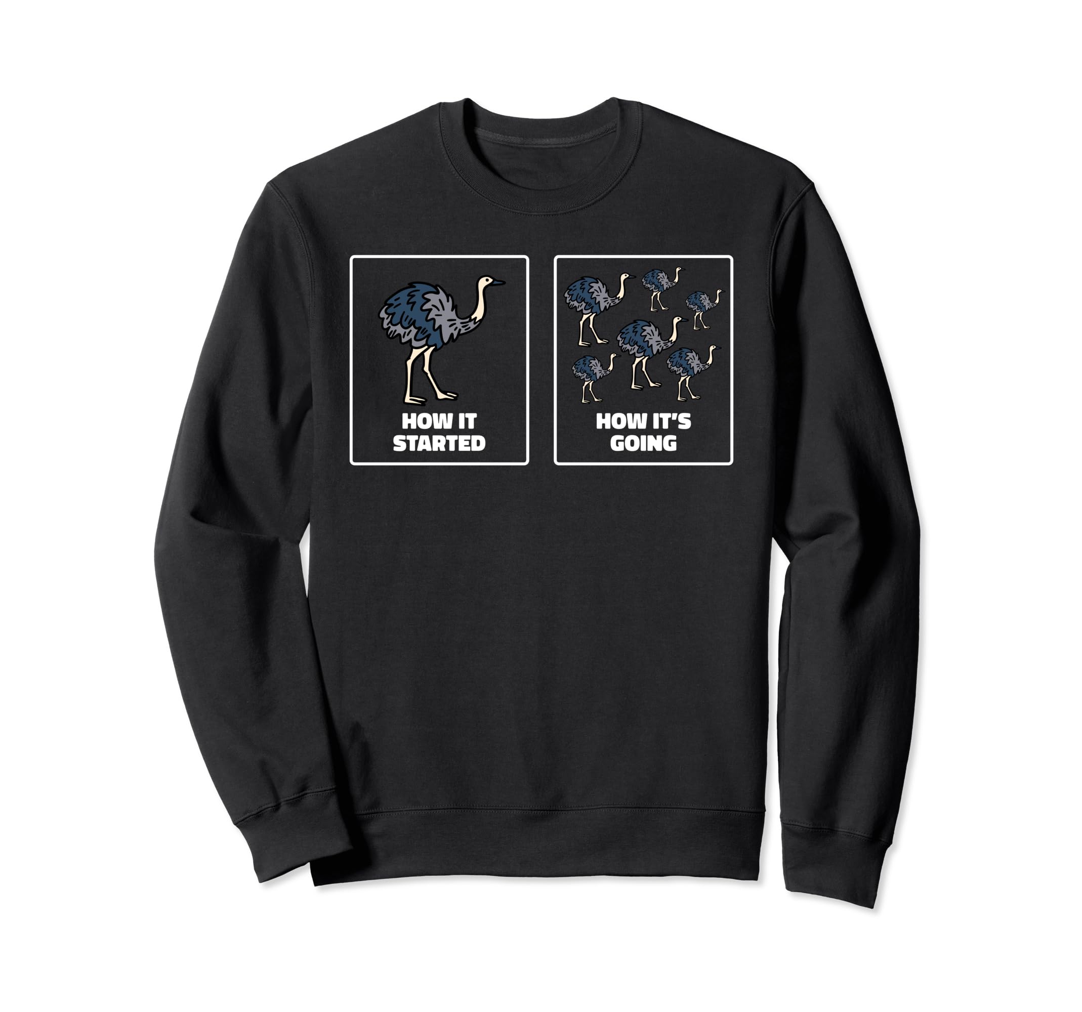 Safari Zookeeper Ostrich Lover How It Sweatshirt - Trendy Graphic Unisex - T-Shirt, Sweatshirt, Hoodie