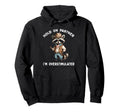 Hold Partner Im Overstimulated Raccoon Hoodie - Trendy Graphic for Adults - T-Shirt, Sweatshirt, Hoodie
