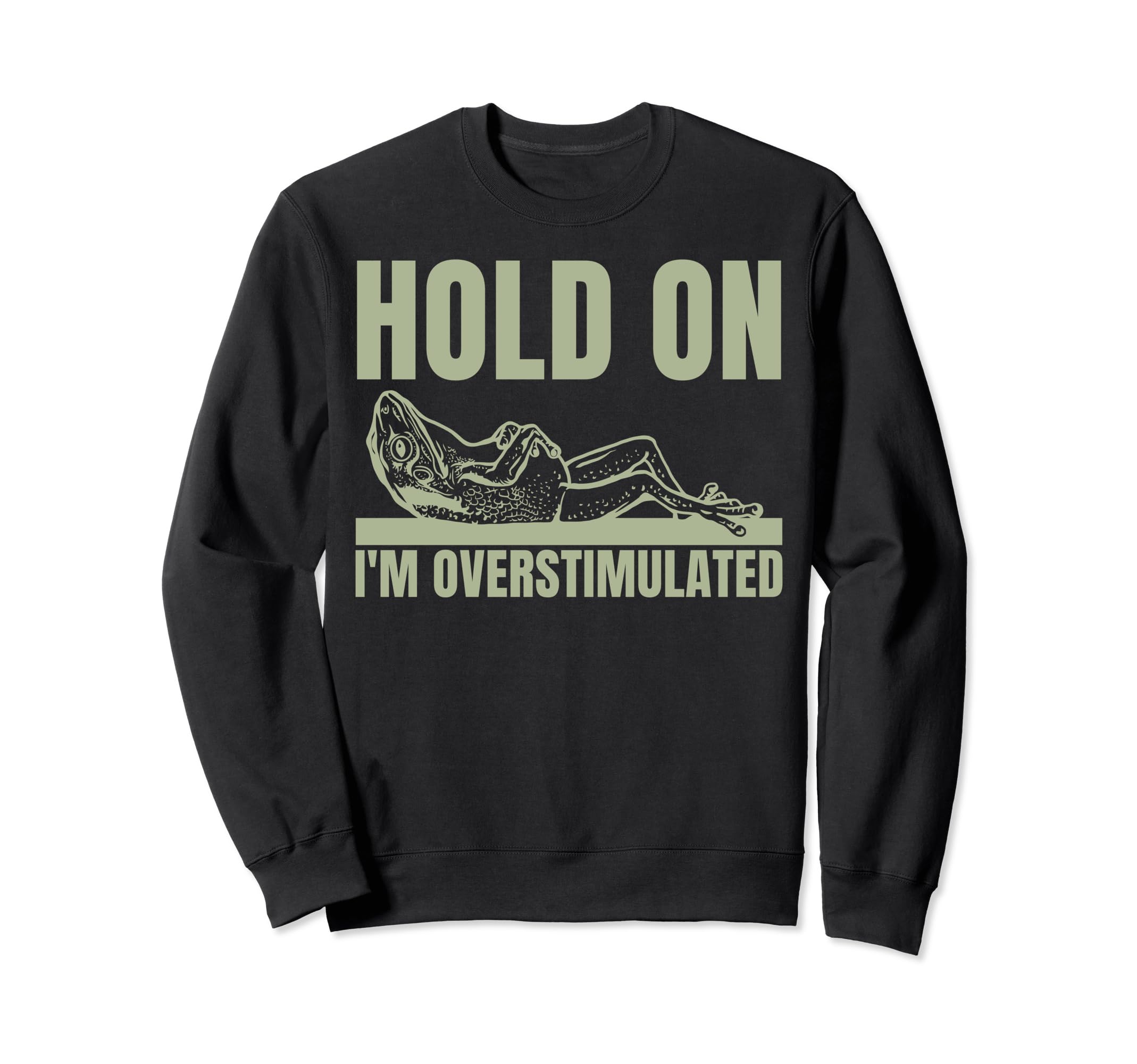 Hold Im Overstimulated Frog Adhd Sweatshirt - Minimalist Print for Adults - T-Shirt, Sweatshirt, Hoodie