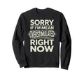 Sorry If Im Mean Im Sweatshirt - Casual Everyday Wear Unisex - T-Shirt, Sweatshirt, Hoodie