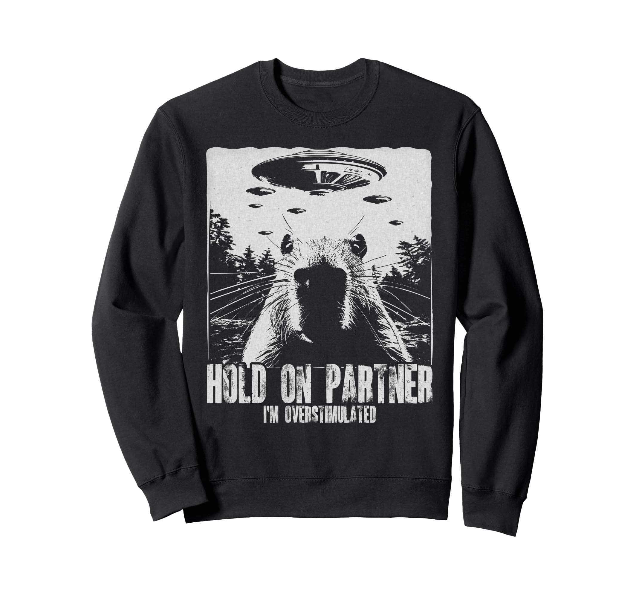 Hold Partner Im Overstimulated Capybara Sweatshirt - Graphic Print Unisex - T-Shirt, Sweatshirt, Hoodie