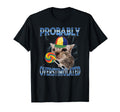 Probably Overstimulated T-Shirt - Casual Everyday Wear Men Women - T-Shirt, Sweatshirt, Hoodie
