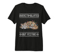 Overstimulated But Festive Persian T-Shirt - Minimalist Print for Adults - T-Shirt, Sweatshirt, Hoodie