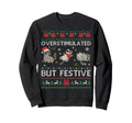 Overstimulated But Festive Raccoon Ugly Sweatshirt - Graphic Print Unisex - T-Shirt, Sweatshirt, Hoodie
