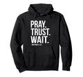 Pray Trust Wait Matthew 21 22 Hoodie - Aesthetic Graphic Men Women - T-Shirt, Sweatshirt, Hoodie