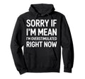 Sorry If Im Mean Im Overstimulated Right Hoodie - Unique Graphic Men Women - T-Shirt, Sweatshirt, Hoodie