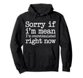 Sorry If Im Mean Im Overstimulated Right Hoodie - Aesthetic Graphic Unisex - T-Shirt, Sweatshirt, Hoodie