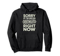 Sorry If Im Mean Im Overstimulated Right Now Hoodie - Graphic Print Unisex - T-Shirt, Sweatshirt, Hoodie