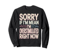 Sorry If Im Mean Im Overstimulated Sweatshirt - Custom Art Print Men Women - T-Shirt, Sweatshirt, Hoodie