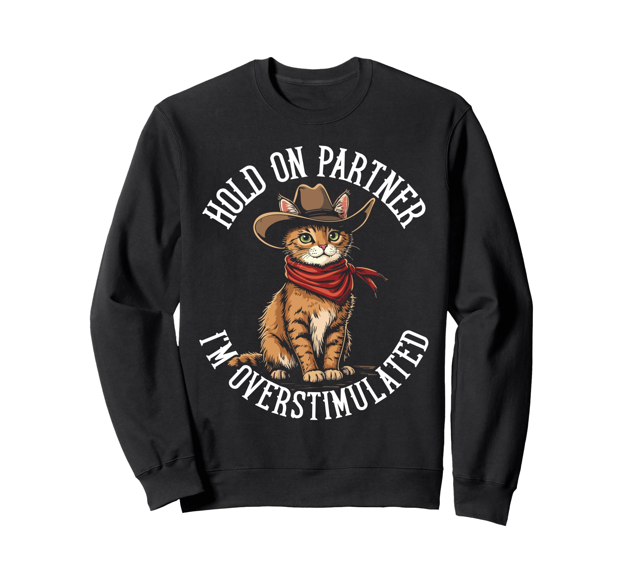 Hold Partner Im Overstimulated Cat Sweatshirt - Minimalist Print for Adults - T-Shirt, Sweatshirt, Hoodie