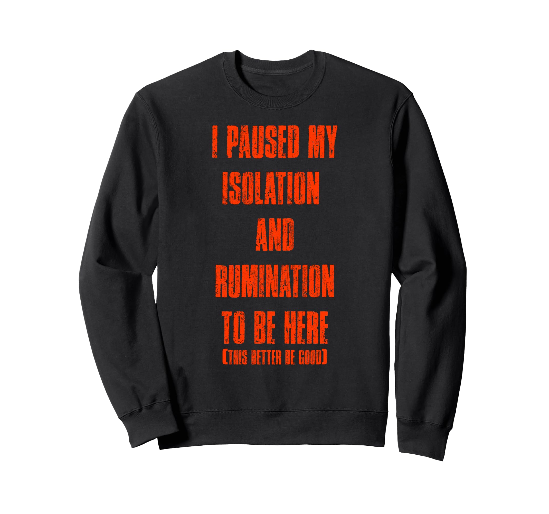 I Paused My Isolation Rumination Sweatshirt - Aesthetic Graphic for Adults - T-Shirt, Sweatshirt, Hoodie