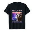 Hold Im Overstimulated Funny Raccoon T-Shirt - Streetwear Style Men Women - T-Shirt, Sweatshirt, Hoodie