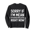 Sorry If Im Mean Im Overstimulated Sweatshirt - Novelty Apparel Men Women - T-Shirt, Sweatshirt, Hoodie