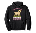 Emotional Support Human Do Not Hoodie - Aesthetic Graphic for Adults - T-Shirt, Sweatshirt, Hoodie