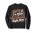 Sorry If Im Mean Im Overstimulated Sweatshirt - Trendy Graphic Unisex - T-Shirt, Sweatshirt, Hoodie