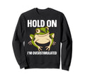 Hold Im Overstimulated Sweatshirt - Trendy Graphic for Adults - T-Shirt, Sweatshirt, Hoodie