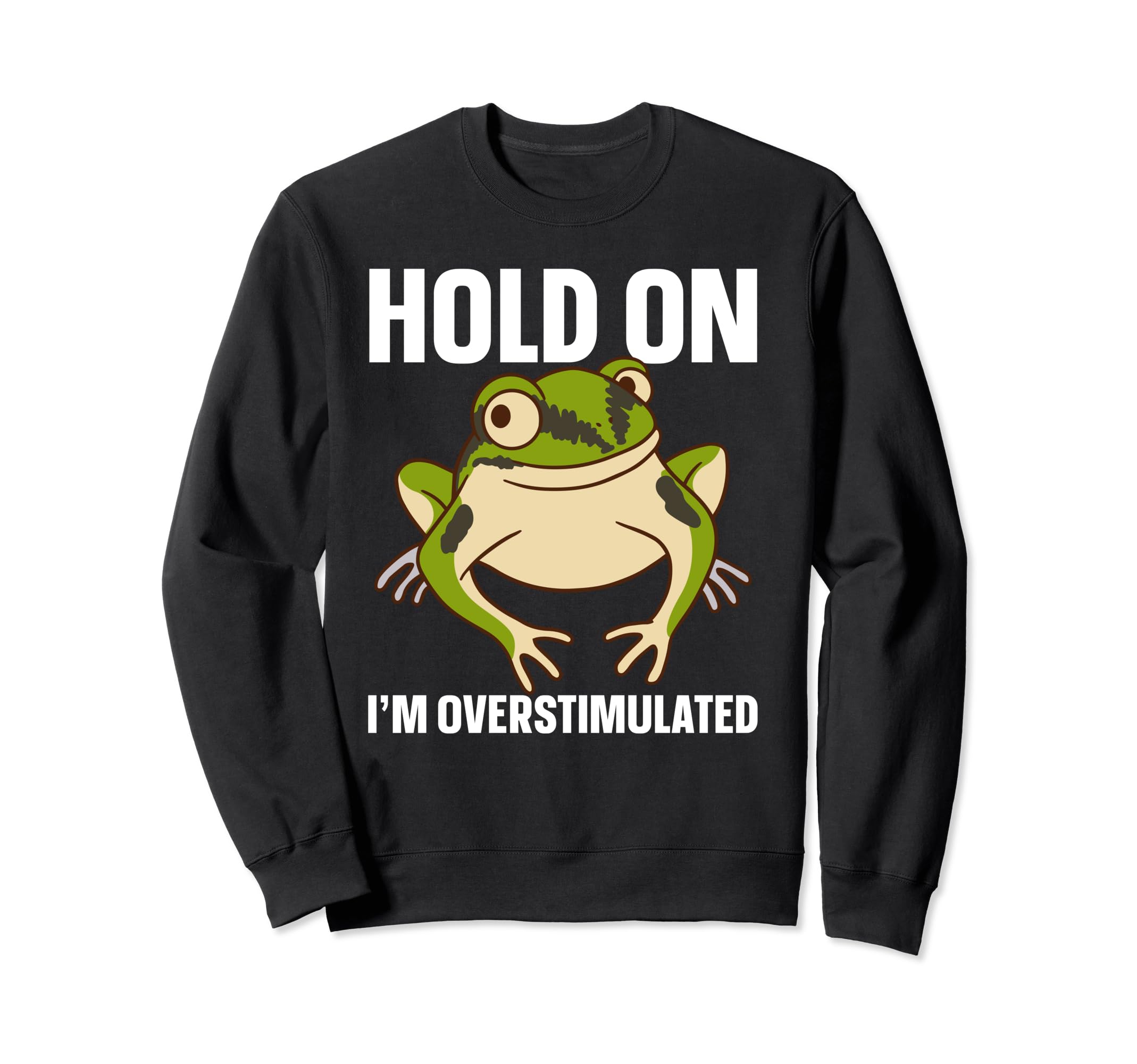 Hold Im Overstimulated Sweatshirt - Trendy Graphic for Adults - T-Shirt, Sweatshirt, Hoodie