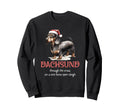 Dachshund Through Snow Wiener Sweatshirt - Casual Everyday Wear for Adults - T-Shirt, Sweatshirt, Hoodie