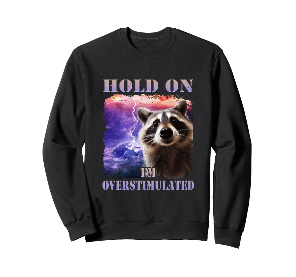 Hold Im Overstimulated Funny Raccoon Sweatshirt - Graphic Print Men Women - T-Shirt, Sweatshirt, Hoodie