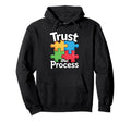 Trust Process Colorful Puzzle Piece Hoodie - Fun Novelty Design Men Women - T-Shirt, Sweatshirt, Hoodie