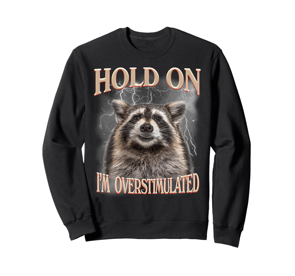 Hold Im Overstimulated Raccoon Sweatshirt - Casual Everyday Wear Men Women - T-Shirt, Sweatshirt, Hoodie