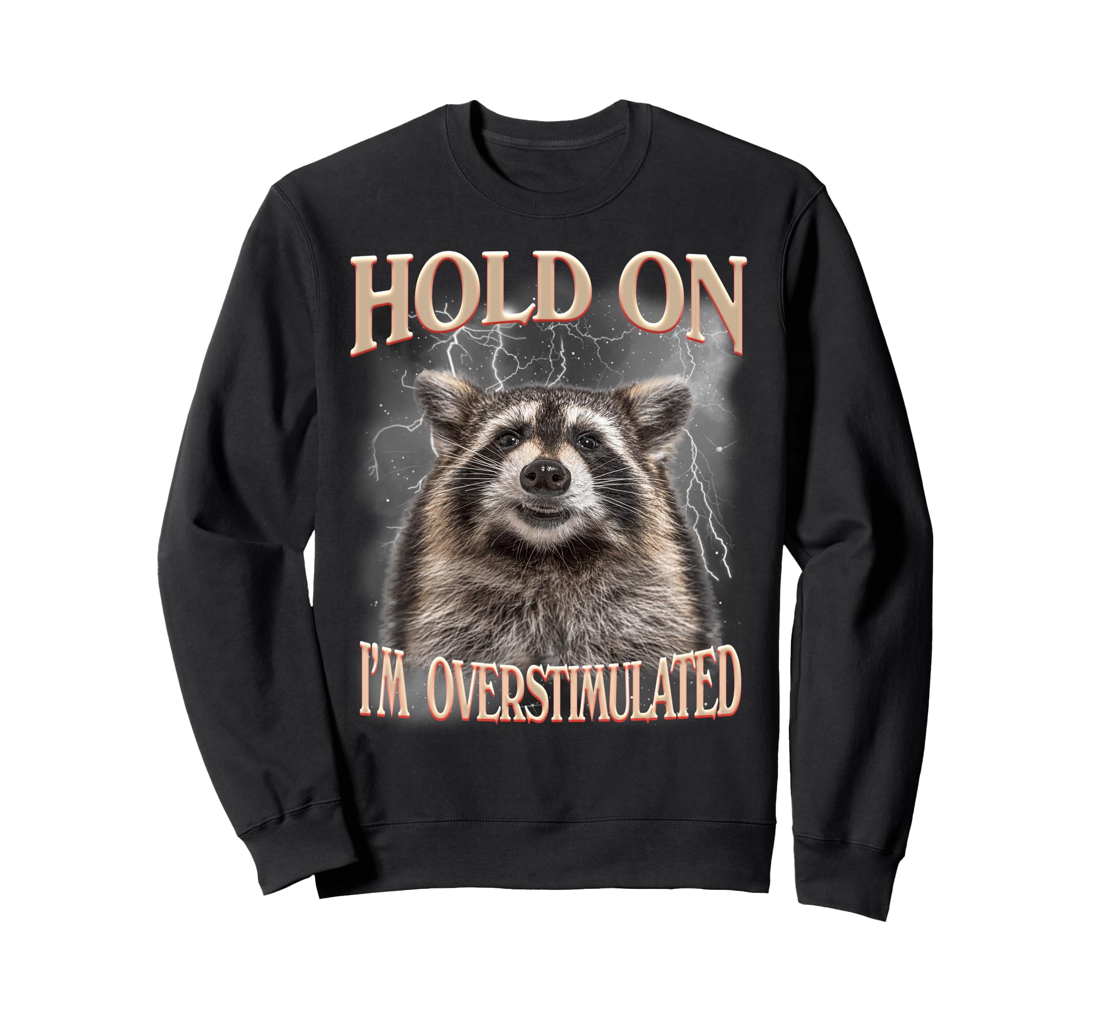 Hold Im Overstimulated Raccoon Sweatshirt - Casual Everyday Wear Men Women - T-Shirt, Sweatshirt, Hoodie