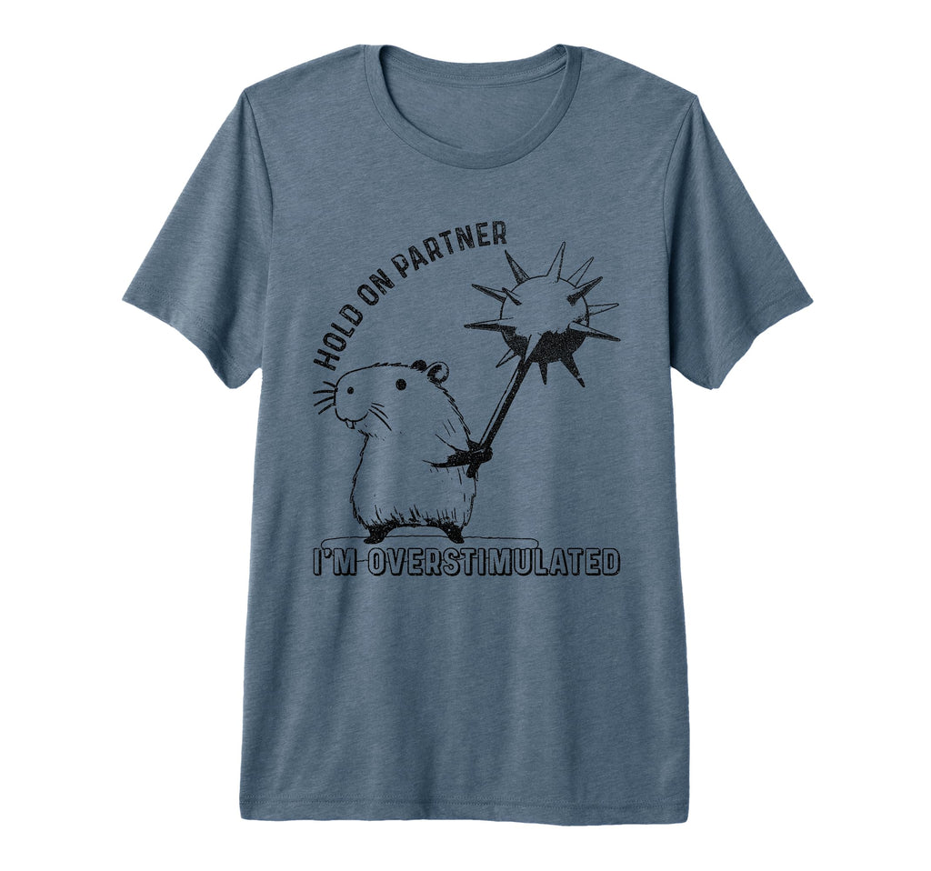 Hold Partner Im Overstimulated T-Shirt - Aesthetic Graphic for Adults - T-Shirt, Sweatshirt, Hoodie