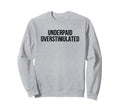 Underpaid Overstimulated Funny Sweatshirt - Fun Novelty Design for Adults - T-Shirt, Sweatshirt, Hoodie
