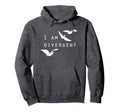 I Am Divergent Fantasy Book Lover Hoodie - Novelty Apparel Men Women - T-Shirt, Sweatshirt, Hoodie